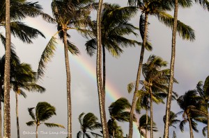maui photographer, maui rainbow, maui beach weddding